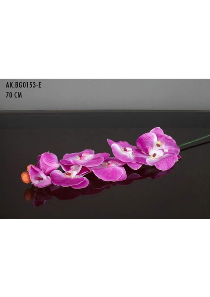 Dal Orkide Eflatun AK.BG0153-E