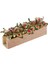 1/12 Ölçekli Dollhouse Minyatür Kil Bitki Çiçek ile Ahşap Pot Oda Dekor (Yurt Dışından) 2