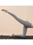 Profesyonel Spor Çorapları Yoga Çorapları (Yurt Dışından) 5