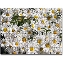 Cakapuzzle Beyaz Büyük Papatyalar 120 Parça Puzzle Yapboz Mdf (Ahşap)