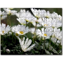 Cakapuzzle Taçlı Beyaz Dağ Laleleri Yakın Çekim 120 Parça Puzzle Yapboz Mdf (Ahşap)