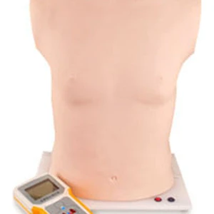 Anatomi Model ANATOMİMODEL Oskültasyon Mankeni