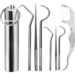7 Parça Paslanmaz Çelik Ağız Diş Tartar Sökücü Temizlik Bakım Seti-
