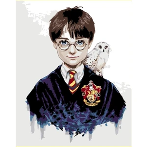 Womb Hobby Harry Potter Sayılarla Boyama Seti 50X65 cm Tuvale Gerili