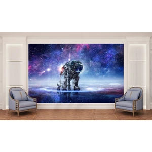 Orhun Store Astronot 3D Poster - 3 Boyutlu Tek Parça Duvar Kağıdı