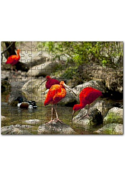 Nehir Kenarında Taşlar Kızıl Balıkçıllar ve Ördekler 1000 Parça Puzzle Yapboz Mdf (Ahşap)