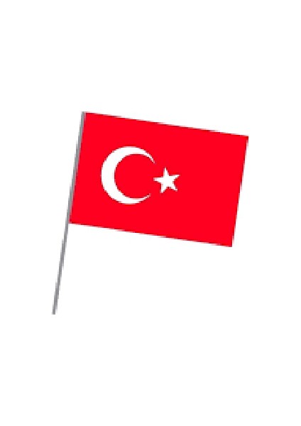 Bez Türk Bayrağı Sopalı 20X30 10 Adet