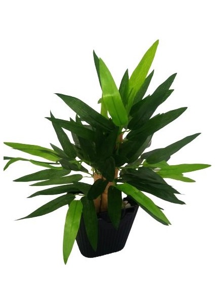 Yapay Bambu Ağaç Si̇yah Saksida 35 cm Boy Bambu Çi̇çek fiyatları