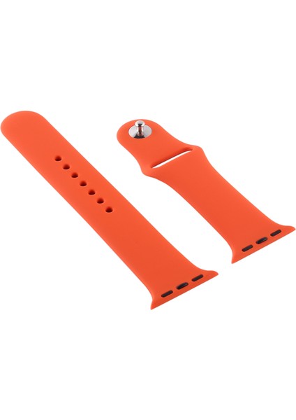 Apple Watch S 7 45 mm / 6 & Se & 5 & 4 44 mm / 3 & 2 ve 1 42 mm Kordon (Yurt Dışından)