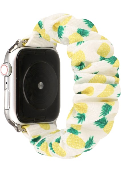 Apple Watch Ananas Için Naylon / Seramik Saat Bantları (Yurt Dışından)