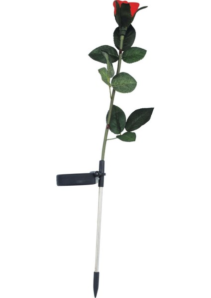 Kırmızı Gül Solar Bahçe Aydınlatması