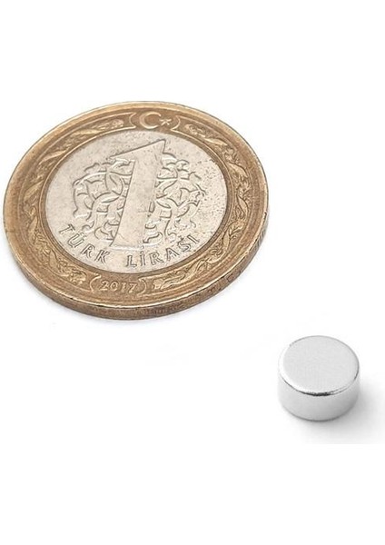 Neodyum Mıknatıs D 8x4 mm Hobi Mıknatısı - 8 mm Çap x 4 mm Kalınlık
