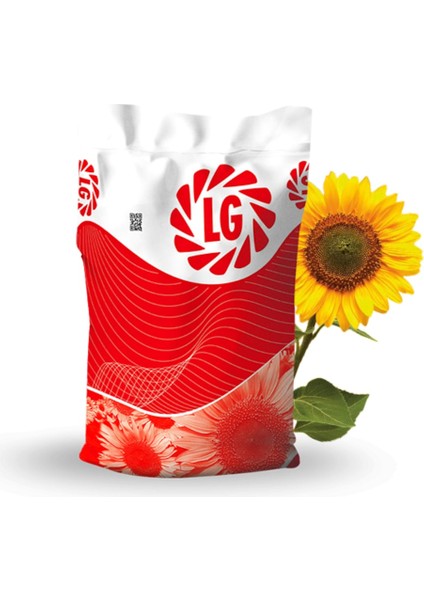 Ayçiçeği Tohumu 10 kg