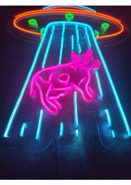 Ufo Inek Neon Tabela Kafe Dükkan Neon LED Dekorasyon Ufo'da Inek Dekoratif Aydınlatma Gece Lambası
