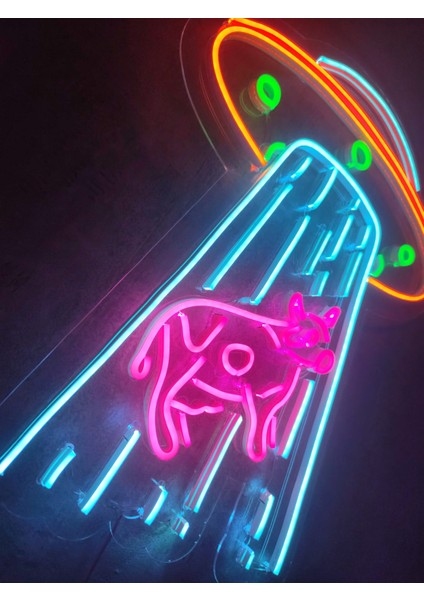 Ufo Inek Neon Tabela Kafe Dükkan Neon LED Dekorasyon Ufo'da Inek Dekoratif Aydınlatma Gece Lambası