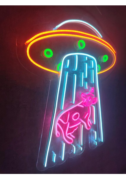 Ufo Inek Neon Tabela Kafe Dükkan Neon LED Dekorasyon Ufo'da Inek Dekoratif Aydınlatma Gece Lambası