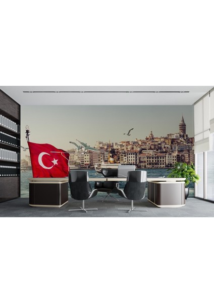 Istanbul Türk B. 3D Poster - 3 Boyutlu Tek Parça Duvar Kağıdı