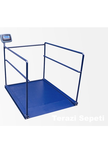 Cw 300 kg x 100 gr 90 x 120 Diyaliz Baskülü Tek Rampa