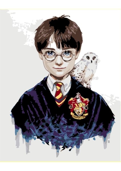 Harry Potter Sayılarla Boyama Seti 50X65 cm Tuvale Gerili