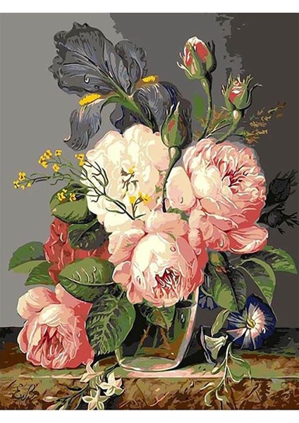 Şakayık Sayılarla Boyama SETI50X65 cm Tuval Şasesine Gerili