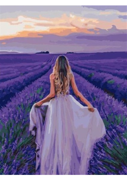 Lavantalar Içinde Sayılarla Boyama SETI50X65 cm Tuval Şasesine Gerili