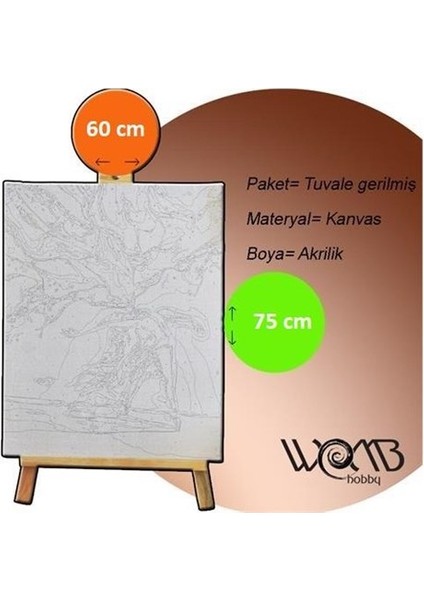 Mistik Gölet Sayılarla Boyama Seti 60X75 cm Tuvale Gerili fiyatları
