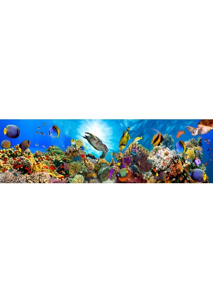 Balık 3D Poster - 3 Boyutlu Tek Parça Duvar Kağıdı