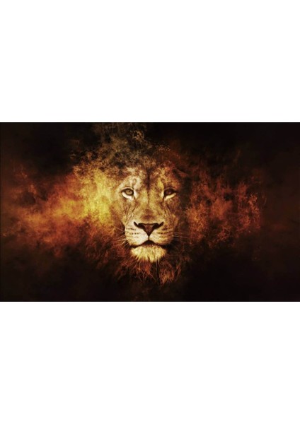 Aslan 3D Poster - 3 Boyutlu Tek Parça Duvar Kağıdı