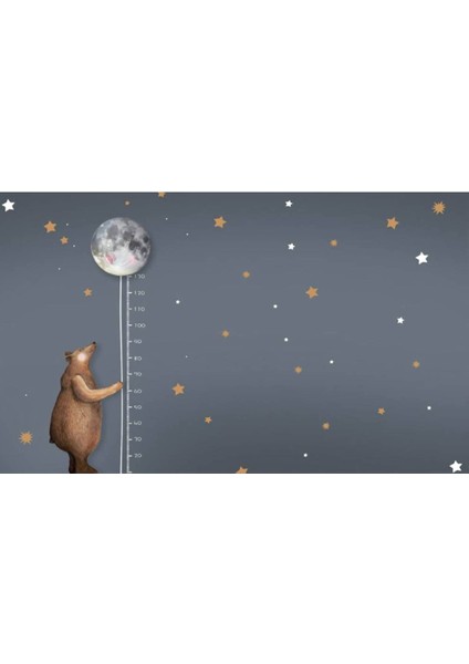 Çocuk Ayı 3D Poster - 3 Boyutlu Tek Parça Duvar Kağıdı