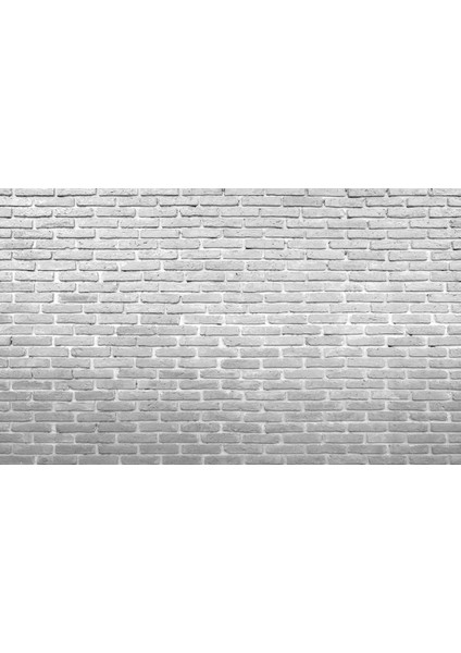 Taş Duvar 3D Poster - 3 Boyutlu Tek Parça Duvar Kağıdı