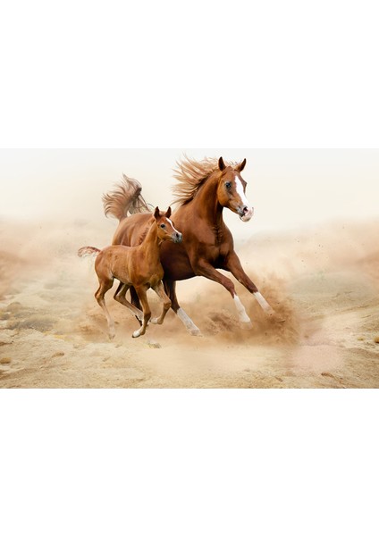 Atlar 3D Poster - 3 Boyutlu Tek Parça Duvar Kağıdı