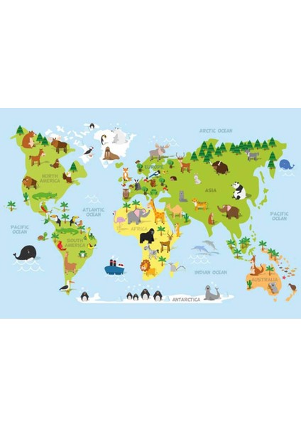 Kid Map 3D Poster - 3 Boyutlu Tek Parça Duvar Kağıdı