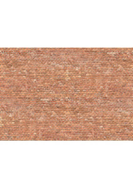 Taş Duvar 3D Poster - 3 Boyutlu Tek Parça Duvar Kağıdı