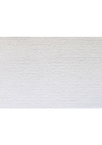 Taş Duvar 3D Poster - 3 Boyutlu Tek Parça Duvar Kağıdı