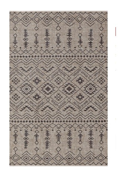 Icon 35558-071 160x230