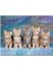 Mavi Zeminde Oturan Sarmanlar ve Tekir 120 Parça Puzzle Yapboz Mdf (Ahşap) 1