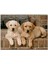 Şöminenin Önünde Iki Labrador Yavrusu 120 Parça Puzzle Yapboz Mdf (Ahşap) 1