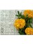 Sarı Çiçekler ve Bitkisel Şifa Kitabı Yaprakları 120 Parça Puzzle Yapboz Mdf (Ahşap) 1