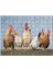Duvarın Üstünde Kahverengi Beyaz Tavuklar 120 Parça Puzzle Yapboz Mdf (Ahşap) 1
