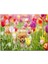 Rengarenk Laleler Arasındaki Sevimli Kahverengi Köpek 120 Parça Puzzle Yapboz Mdf (Ahşap) 1