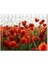 Çayırda Kırmızı Gelincikler 120 Parça Puzzle Yapboz Mdf (Ahşap) 1