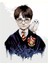 Harry Potter Sayılarla Boyama Seti 50X65 cm Tuvale Gerili 1