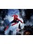 Spiderman 3D Poster - 3 Boyutlu Tek Parça Duvar Kağıdı 1