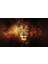 Aslan 3D Poster - 3 Boyutlu Tek Parça Duvar Kağıdı 1