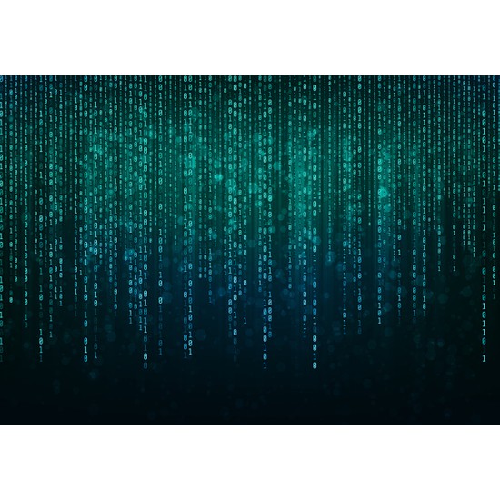 Matrix Yazılım 3D Poster 3 Boyutlu Tek Parça Duvar Kağıdı Fiyatı Matrix Yazılım 3D Poster 3 Boyutlu Tek Parça Duvar Kağıdı Fiyatı