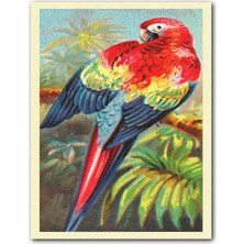 Cakatablo Ahşap Tablo Kırmızı ve Mavi Amerika Papağanı (25X35 cm Boyut)