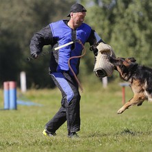 Tashow Deri Köpek Eğitimi Kırbacı Çeviklik Eğitimi Çalışma Araçları (Yurt Dışından)