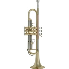 Bohemia Sml Paris TP300 Trompet