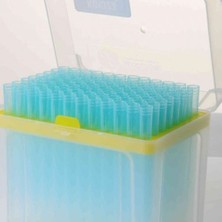 Flitreli Pipet Ucu Steril Dnase,rnase And Pyrogen Free, 1000 Ul 96 Adet