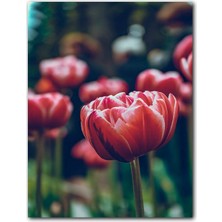 Cakatablo Ahşap Tablo Kırmızı Lale Yakın Çekim Flu Arkaplan (25X35 cm Boyut)